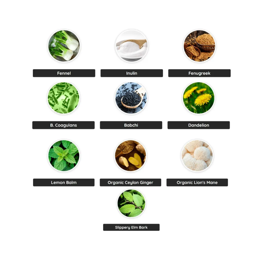 Healthy Gut Supplement